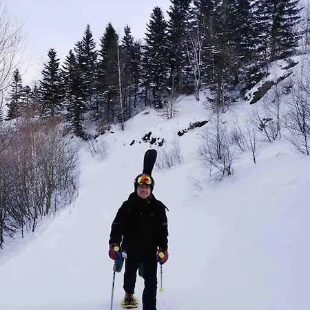 Maison 6 Places, En Plein Coeur De L'ariege, Proche Et Nature Vakantiehuis *