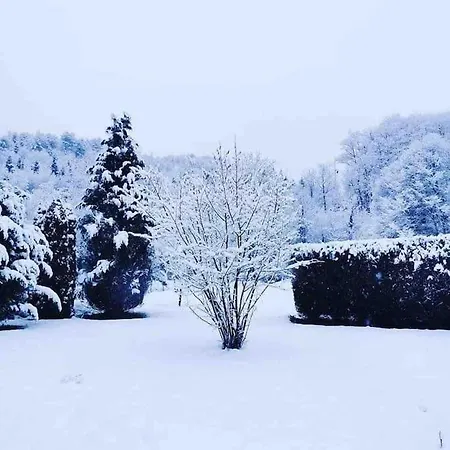 Maison 6 Places, En Plein Coeur De L'ariege, Proche Et Nature Vakantiehuis