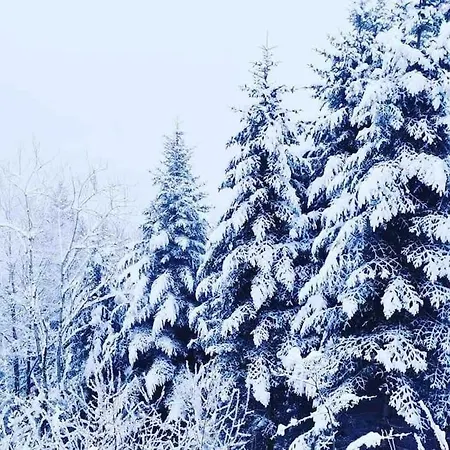 Maison 6 Places, En Plein Coeur De L'ariege, Proche Et Nature *