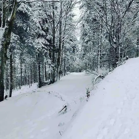 Maison 6 Places, En Plein Coeur De L'ariege, Proche Et Nature Vakantiehuis *