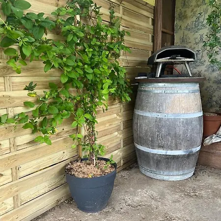 בית נופש Maison 6 Places, En Plein Coeur De L'ariege, Proche Et Nature *