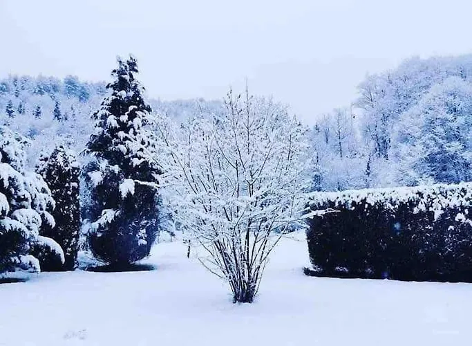 Maison 6 Places, En Plein Coeur De L'ariege, Proche Et Nature Casa de Férias