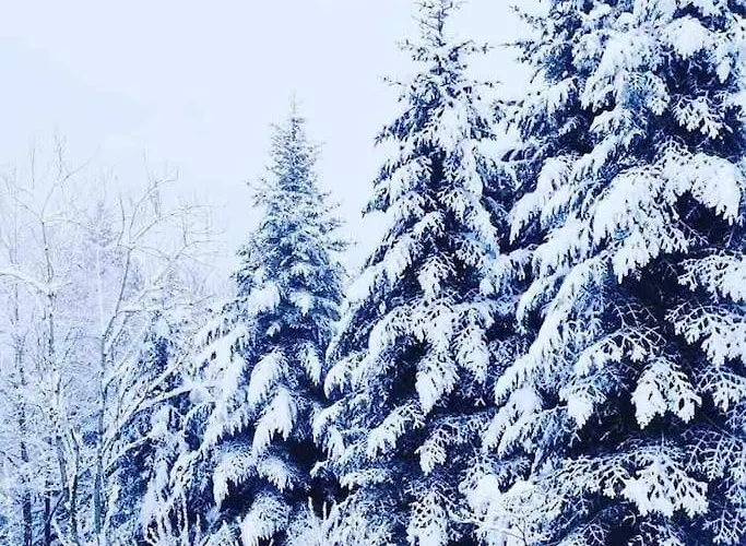 Maison 6 Places, En Plein Coeur De L'ariege, Proche Et Nature *