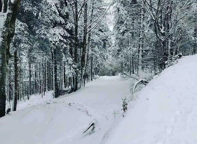 Maison 6 Places, En Plein Coeur De L'ariege, Proche Et Nature Casa de Férias *