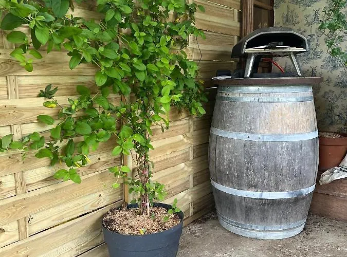 Casa de Férias Maison 6 Places, En Plein Coeur De L'ariege, Proche Et Nature *